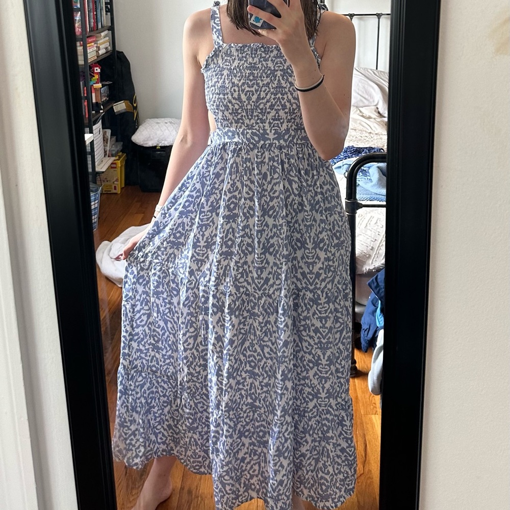 Japna Blue Dress